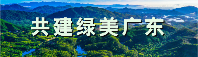 共建绿美广东