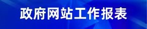 政府网站工作报表